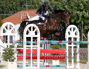 Apolloni Dama di Cuori GioCav2013 S6 7577 : Apolloni Gianluca, Campionati Italiani Giovani Cavalli, Cattolica, Dama di Cuori, ph Stefano Secchi ©
